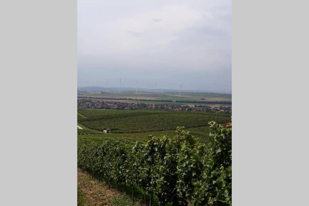 Wohlfuehlen Im Rheinhessischen Backsteinhaus Armsheim Exterior foto